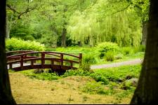 Krapperups park Foto: Lars Owesson