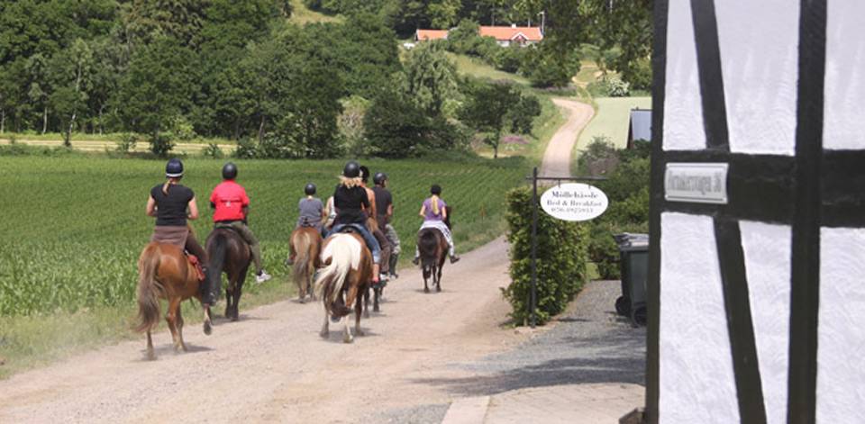 Möllehässle B&B