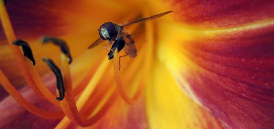 Spännande fotoutställning på Naturum