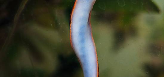 Konstrundan i nordvästra Skåne