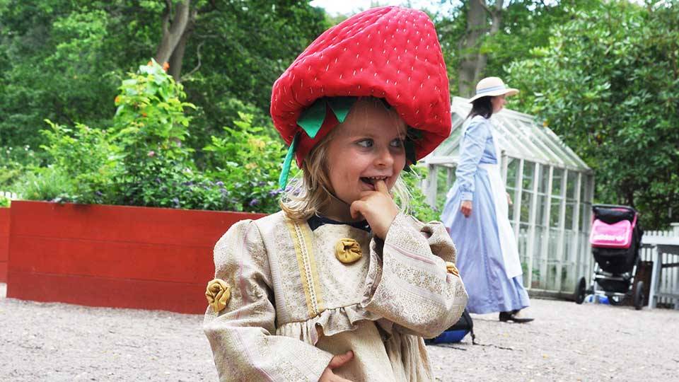 Sofiero slott, Helsingborg