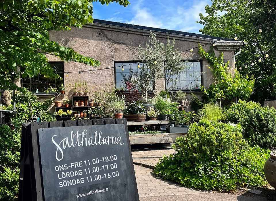 Salthallarna