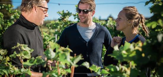 Kullahalvön blomstrar – Salthallarna