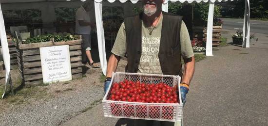 Tomatsvängen