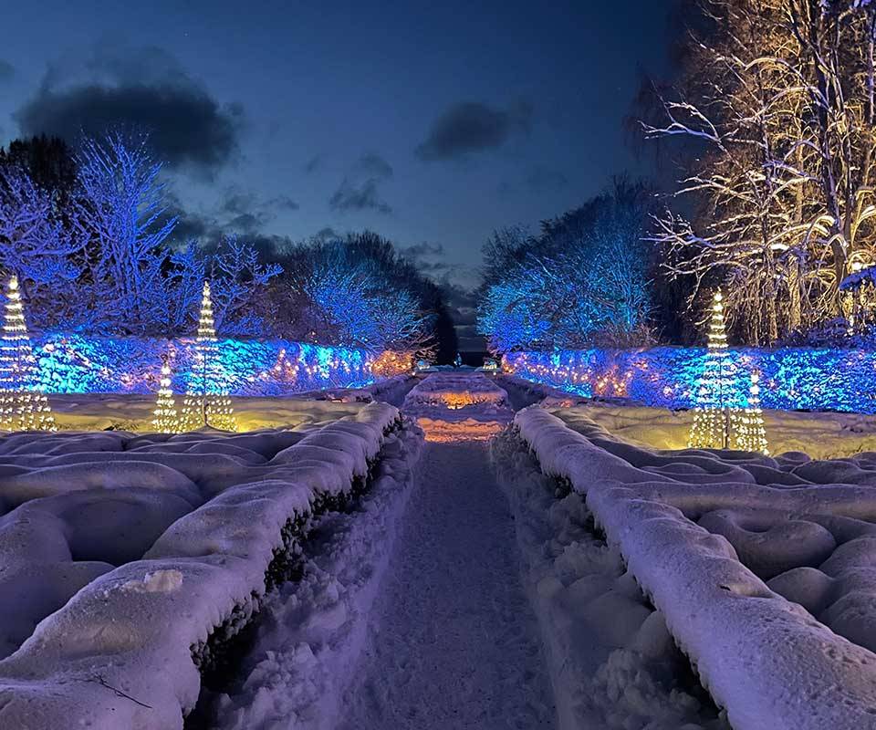 Vinter på Norrviken