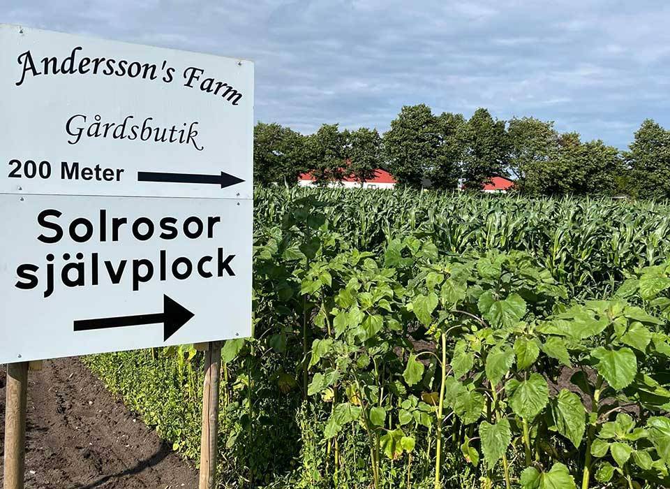 Andersson Farm's Gårdsbutik