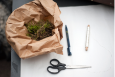 1. Du behöver silkespapper, grön ståltråd, grön mossa och en sax.