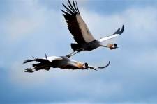 Foto: Anton Svensson